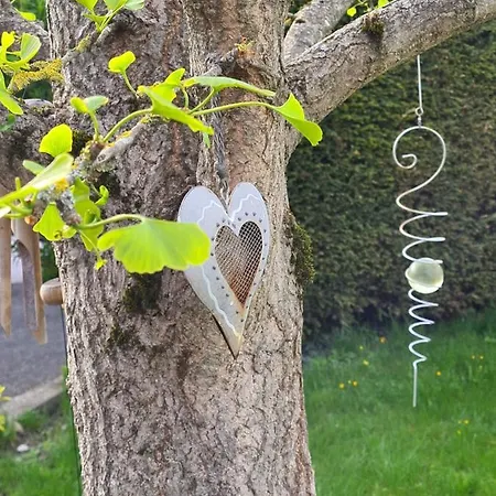 A L'ombre Du Gingko *